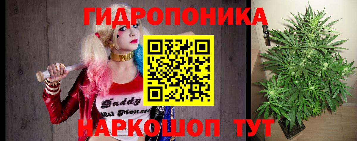 Каннабис план Омск